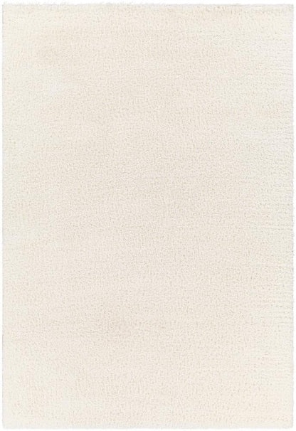 Livabliss - Cloudy Shag 53inx7 Machine Woven Rug - CDG2302-537 veiw 1