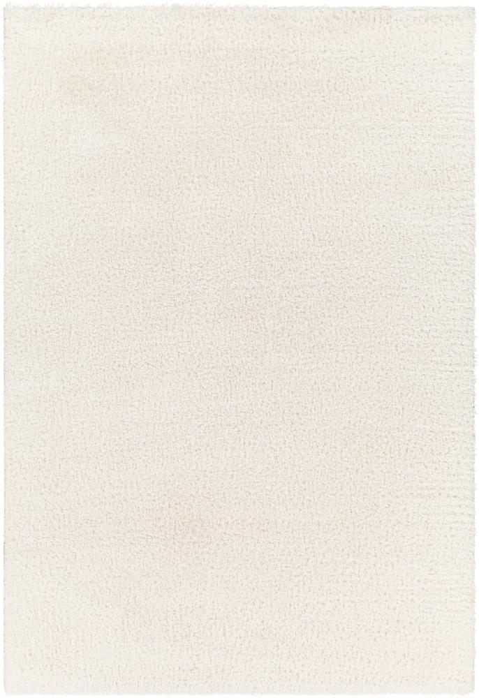 Livabliss - Cloudy Shag 67inx9 Machine Woven Rug - CDG2302-679 veiw 1