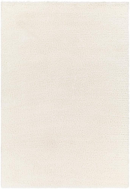 Livabliss - Cloudy Shag 67inx9 Machine Woven Rug - CDG2302-679 veiw 1