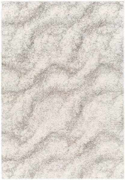 Livabliss - Cloudy Shag 67inx9 Machine Woven Rug - CDG2306-679 veiw 1