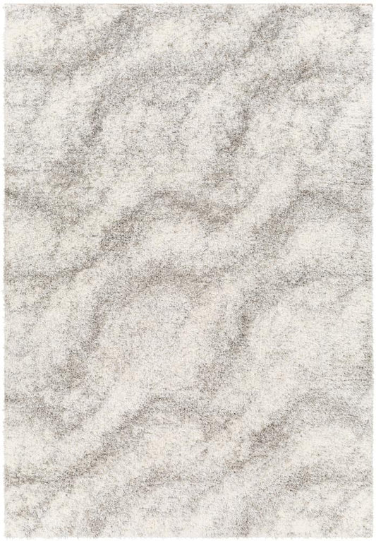 Livabliss - Cloudy Shag 67inx9 Machine Woven Rug - CDG2306-679 veiw 1