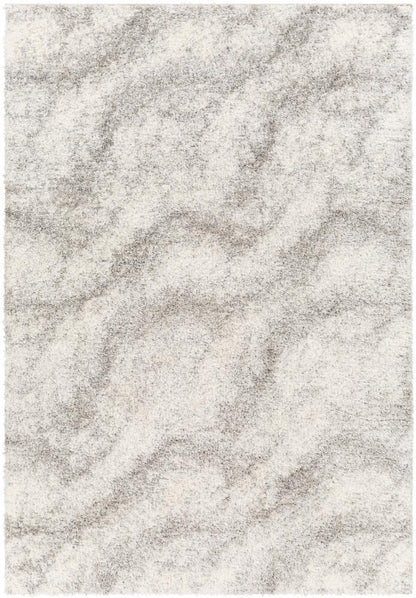 Livabliss - Cloudy Shag 710inx10 Machine Woven Rug - CDG2306-71010 veiw 1