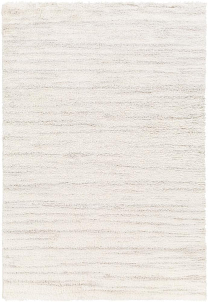 Livabliss - Cloudy Shag 67inx9 Machine Woven Rug - CDG2307-679 veiw 1