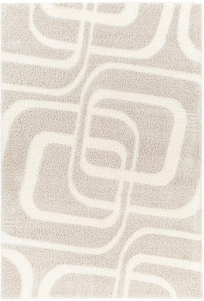 Livabliss - Cloudy Shag 53inx7 Machine Woven Rug - CDG2309-537_CLOSEOUT veiw 1