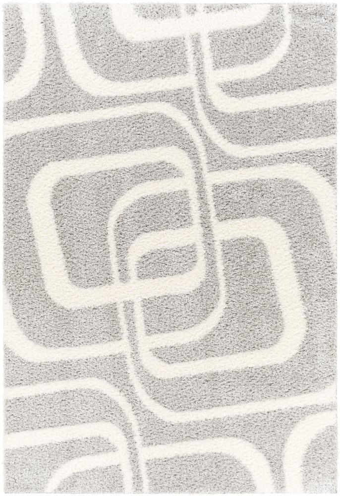 Livabliss - Cloudy Shag 67inx9 Machine Woven Rug - CDG2310-679_CLOSEOUT veiw 1