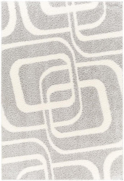Livabliss - Cloudy Shag 67inx9 Machine Woven Rug - CDG2310-679_CLOSEOUT veiw 1