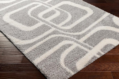 Livabliss - Cloudy Shag 67inx9 Machine Woven Rug - CDG2310-679_CLOSEOUT veiw 3