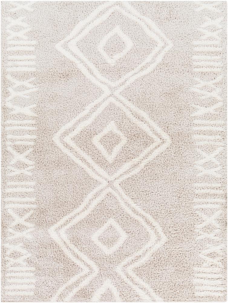 Livabliss - Cloudy Shag 53inx7 Machine Woven Rug - CDG2311-537 veiw 1