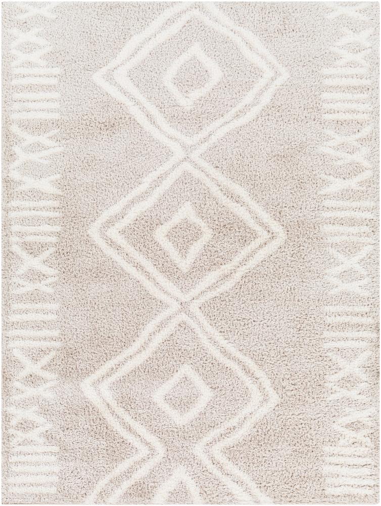 Livabliss - Cloudy Shag 67inx9 Machine Woven Rug - CDG2311-679 veiw 1