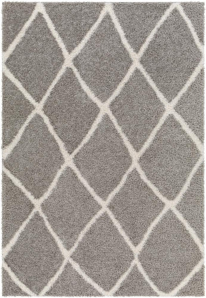 Livabliss - Cloudy Shag 53inx7 Machine Woven Rug - CDG2313-537 veiw 1
