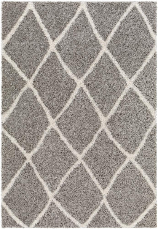 Livabliss - Cloudy Shag 67inx9 Machine Woven Rug - CDG2313-679 veiw 1