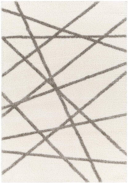 Livabliss - Cloudy Shag 67inx9 Machine Woven Rug - CDG2316-679_CLOSEOUT veiw 1