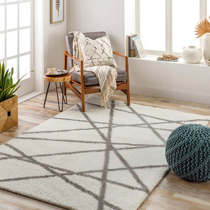 Livabliss - Cloudy Shag 67inx9 Machine Woven Rug - CDG2316-679_CLOSEOUT veiw 2