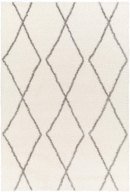 Livabliss - Cloudy Shag 53inx7 Machine Woven Rug - CDG2317-537 veiw 1