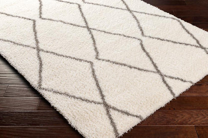 Livabliss - Cloudy Shag 67inx9 Machine Woven Rug - CDG2317-679 veiw 3