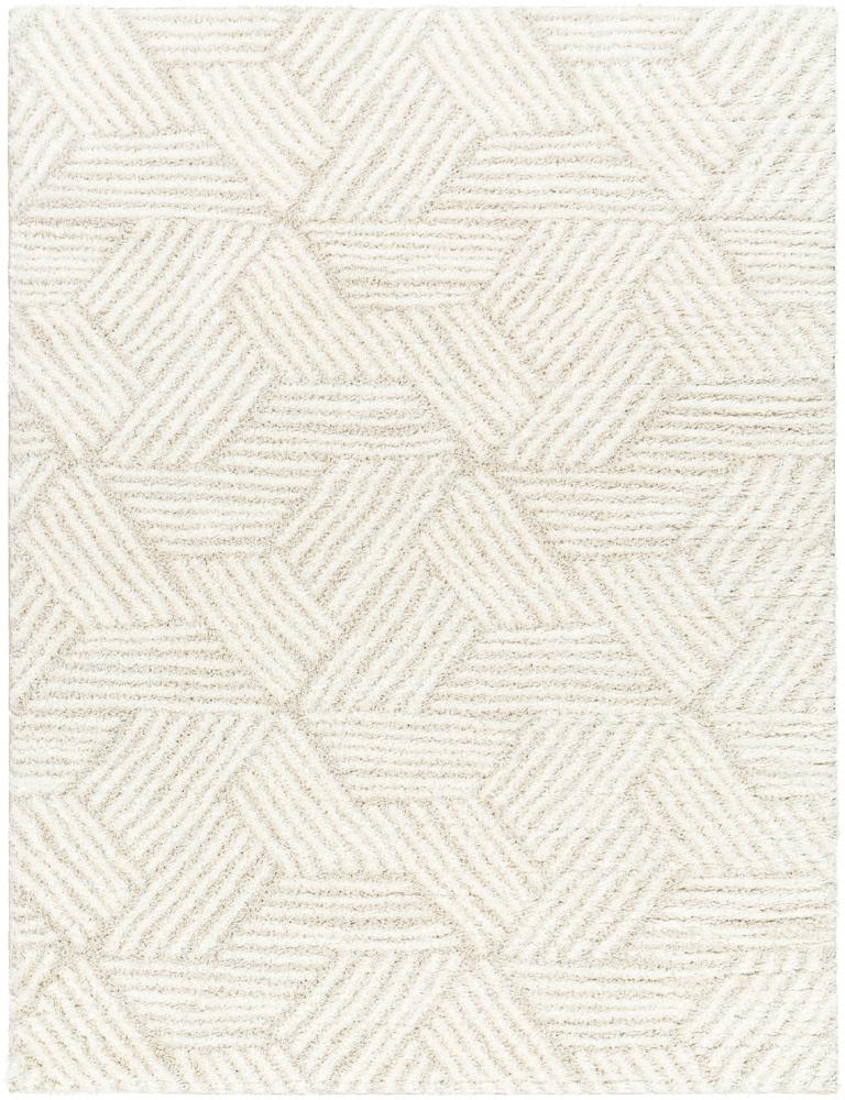 Livabliss - Cloudy Shag 53inx7 Machine Woven Rug - CDG2319-537 veiw 1