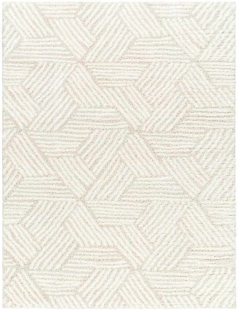 Livabliss - Cloudy Shag 67inx9 Machine Woven Rug - CDG2319-679 veiw 1