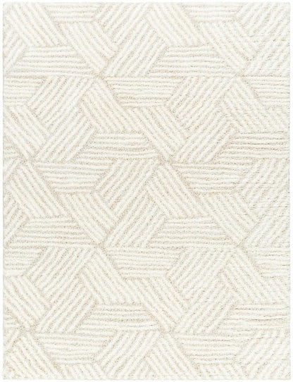 Livabliss - Cloudy Shag 67inx9 Machine Woven Rug - CDG2319-679 veiw 1