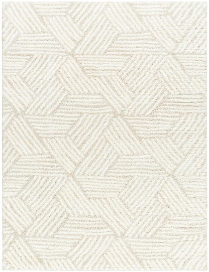 Livabliss - Cloudy Shag 710inx10 Machine Woven Rug - CDG2319-71010 veiw 1