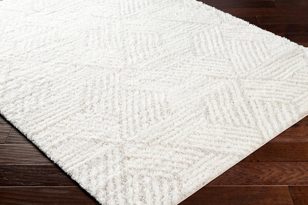 Livabliss - Cloudy Shag 710inx10 Machine Woven Rug - CDG2319-71010 veiw 3