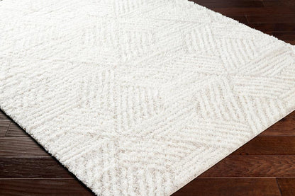 Livabliss - Cloudy Shag 710inx10 Machine Woven Rug - CDG2319-71010 veiw 3
