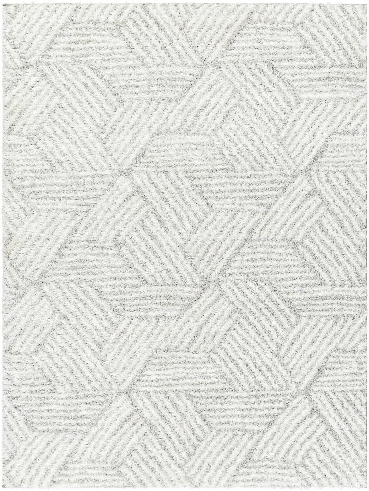 Livabliss - Cloudy Shag 53inx7 Machine Woven Rug - CDG2320-537 veiw 1