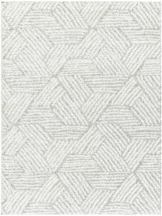 Livabliss - Cloudy Shag 53inx7 Machine Woven Rug - CDG2320-537 veiw 1