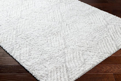 Livabliss - Cloudy Shag 53inx7 Machine Woven Rug - CDG2320-537 veiw 3