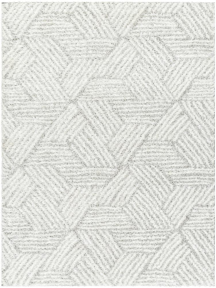 Livabliss - Cloudy Shag 67inx9 Machine Woven Rug - CDG2320-679 veiw 1