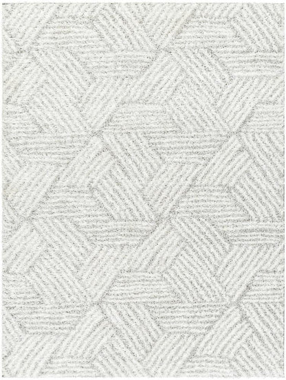 Livabliss - Cloudy Shag 67inx9 Machine Woven Rug - CDG2320-679 veiw 1