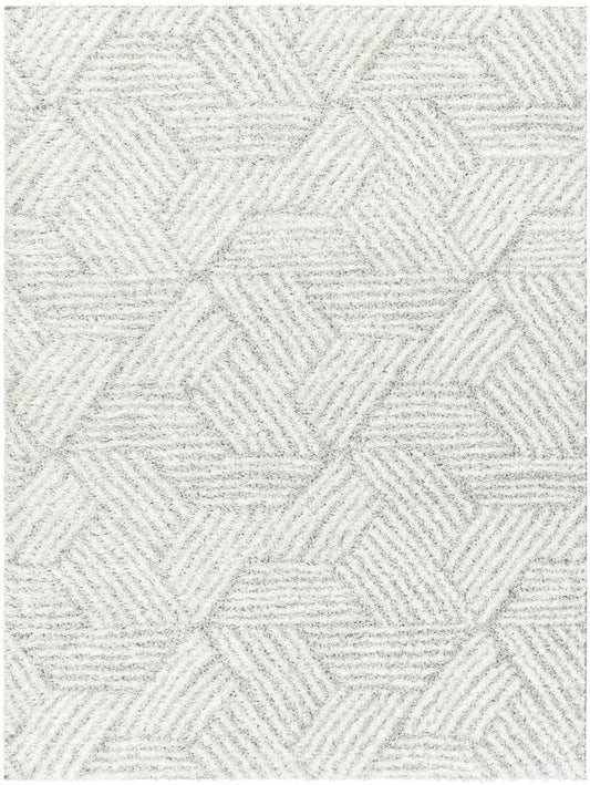 Livabliss - Cloudy Shag 67inx9 Machine Woven Rug - CDG2320-679 veiw 1
