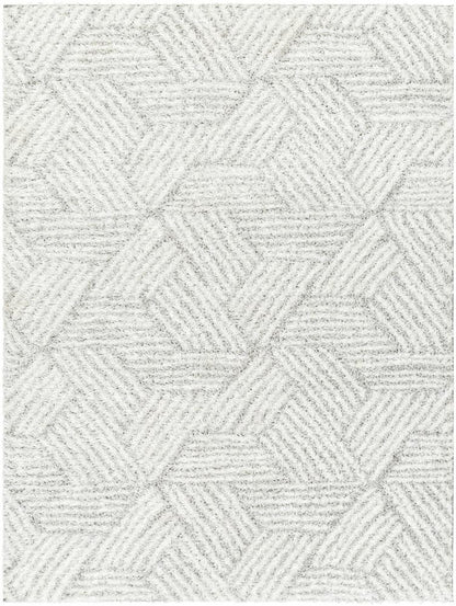 Livabliss - Cloudy Shag 710inx10 Machine Woven Rug - CDG2320-71010 veiw 1