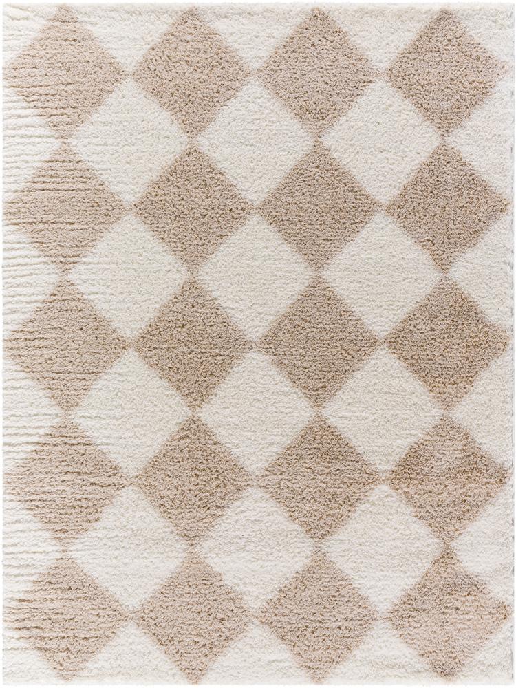 Livabliss - Cloudy Shag 67inx9 Machine Woven Rug - CDG2338-679 veiw 1