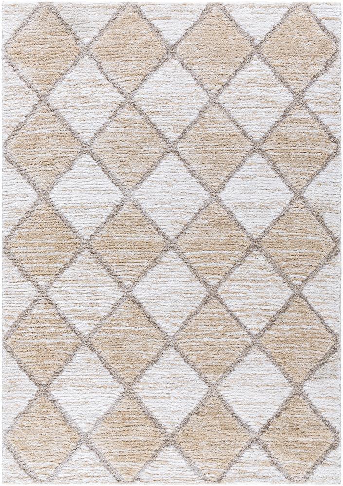 Livabliss - Delight Shag 53inx7 Machine Woven Rug - DEL2306-537 veiw 1