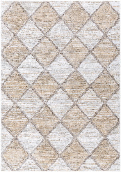 Livabliss - Delight Shag 53inx7 Machine Woven Rug - DEL2306-537 veiw 1