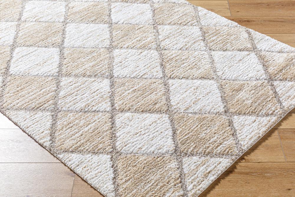 Livabliss - Delight Shag 53inx7 Machine Woven Rug - DEL2306-537 veiw 3
