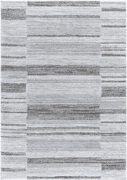 Livabliss - Delight Shag 53inx7 Machine Woven Rug - DEL2308-537 veiw 1