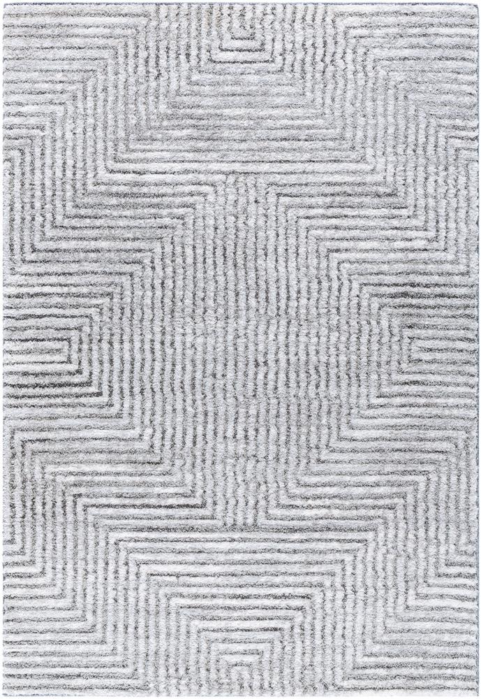 Livabliss - Delight Shag 53inx7 Machine Woven Rug - DEL2309-537 veiw 1