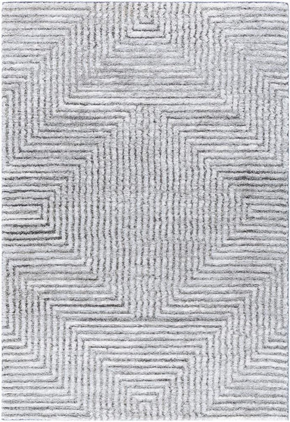 Livabliss - Delight Shag 53inx7 Machine Woven Rug - DEL2309-537 veiw 1