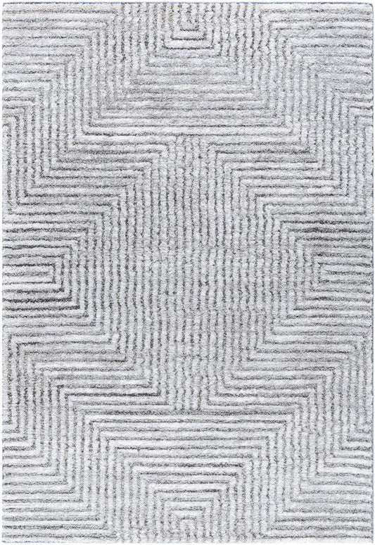 Livabliss - Delight Shag 53inx7 Machine Woven Rug - DEL2309-537 veiw 1