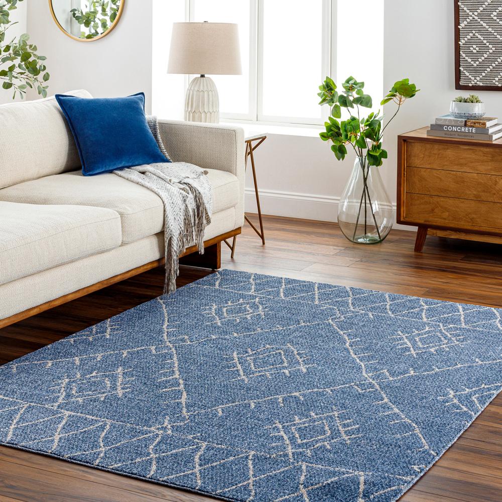 Livabliss - Delphi 53inx7 Machine Woven Rug - DEP2310-537_CLOSEOUT veiw 2