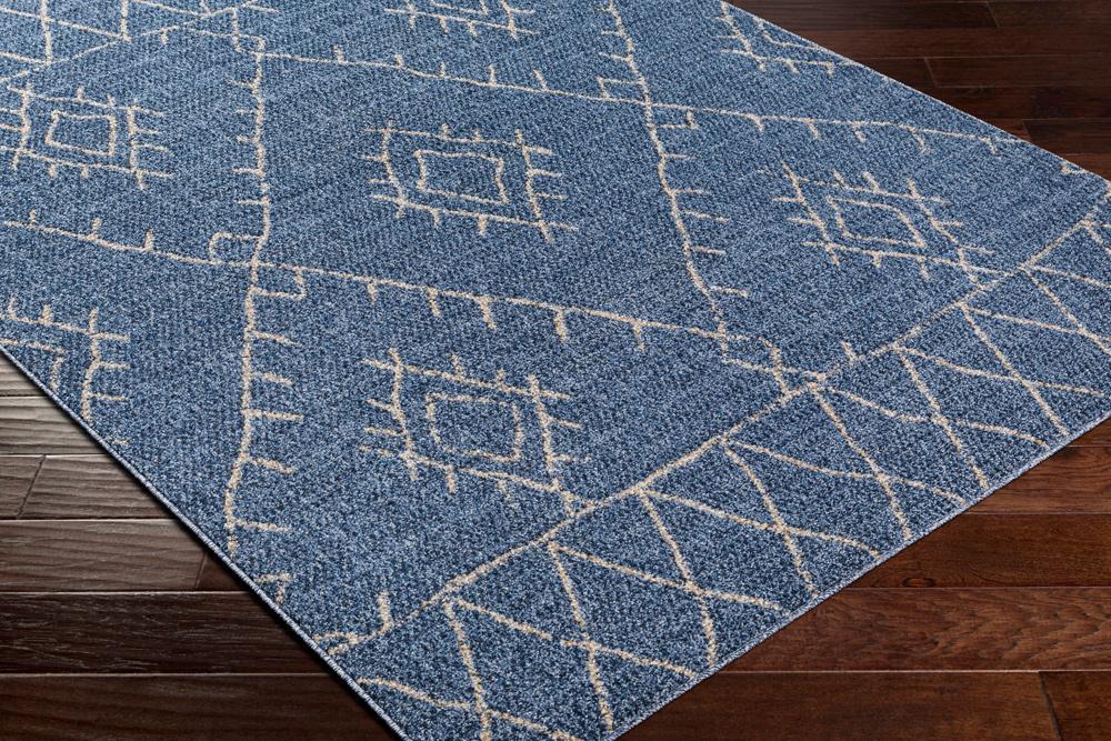 Livabliss - Delphi 53inx7 Machine Woven Rug - DEP2310-537_CLOSEOUT veiw 3
