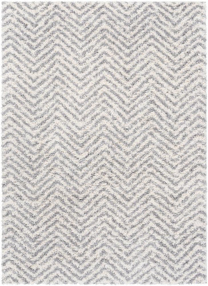 Livabliss - Deluxe Shag 2x211in Machine Woven Rug - DXS2307-23_CLOSEOUT veiw 1