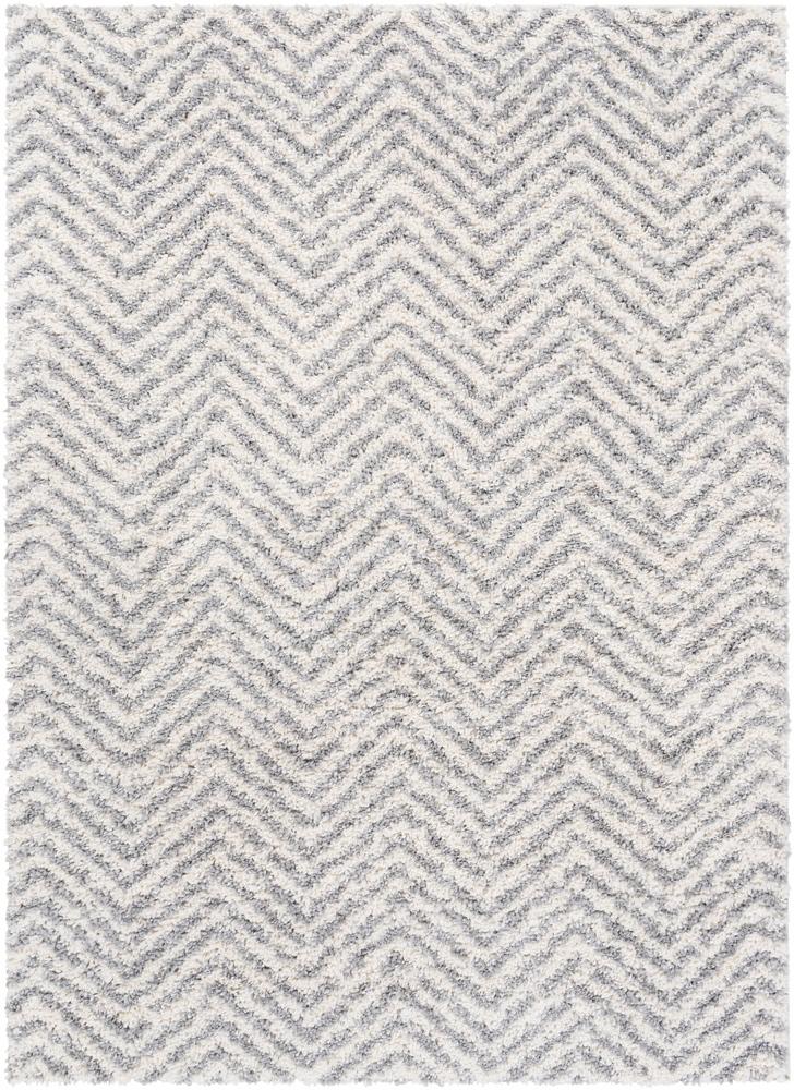Livabliss - Deluxe Shag 67inx9 Machine Woven Rug - DXS2307-6796_CLOSEOUT veiw 1