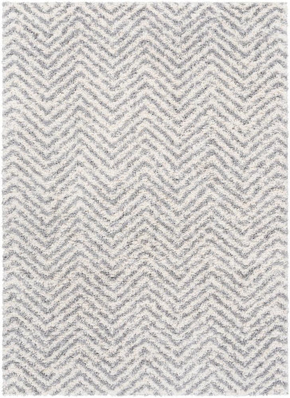 Livabliss - Deluxe Shag 67inx9 Machine Woven Rug - DXS2307-6796_CLOSEOUT veiw 1