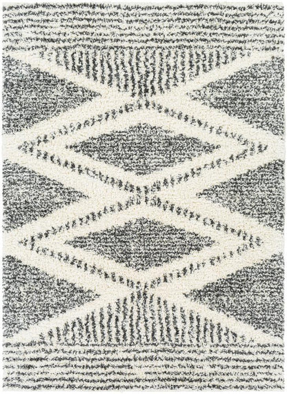 Livabliss - Deluxe Shag 67inx9 Machine Woven Rug - DXS2309-6796 veiw 1