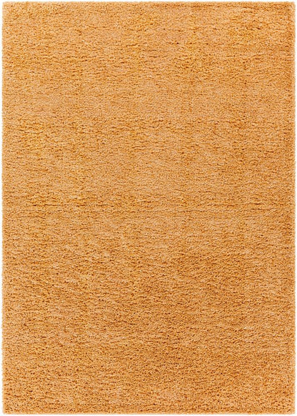 Livabliss - Deluxe Shag 53inx73in Machine Woven Rug - DXS2324-5373_CLOSEOUT veiw 1