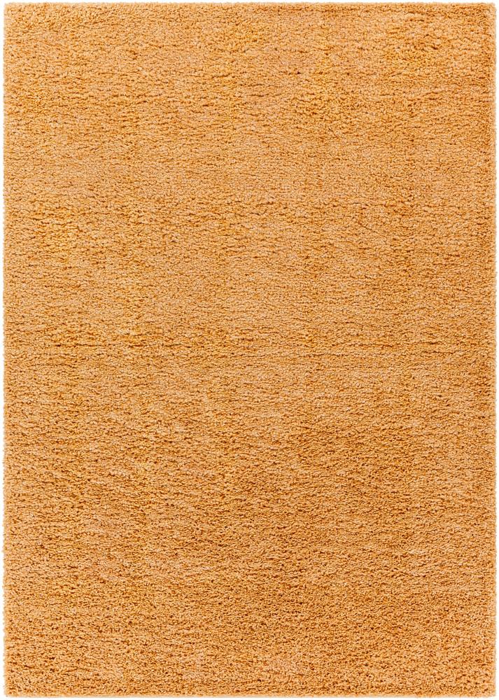 Livabliss - Deluxe Shag 67inx9 Machine Woven Rug - DXS2324-679_CLOSEOUT veiw 1