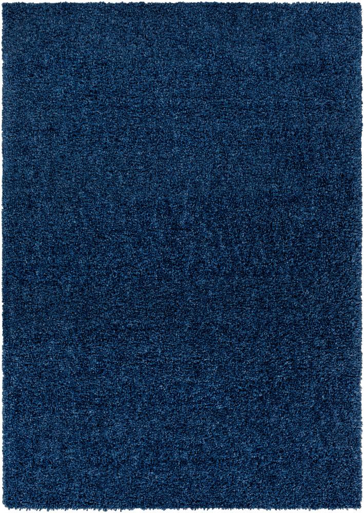 Livabliss - Deluxe Shag 67inx9 Machine Woven Rug - DXS2327-679_CLOSEOUT veiw 1