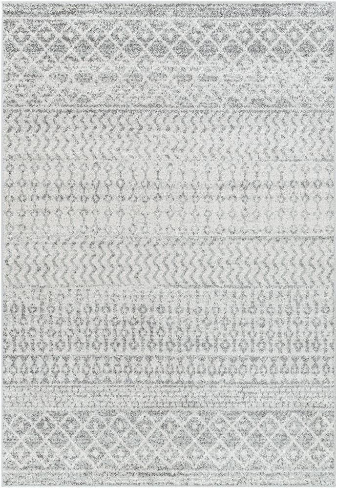 Livabliss - Elaziz 53inx77in Machine Woven Rug - ELZ2308-5376 veiw 1